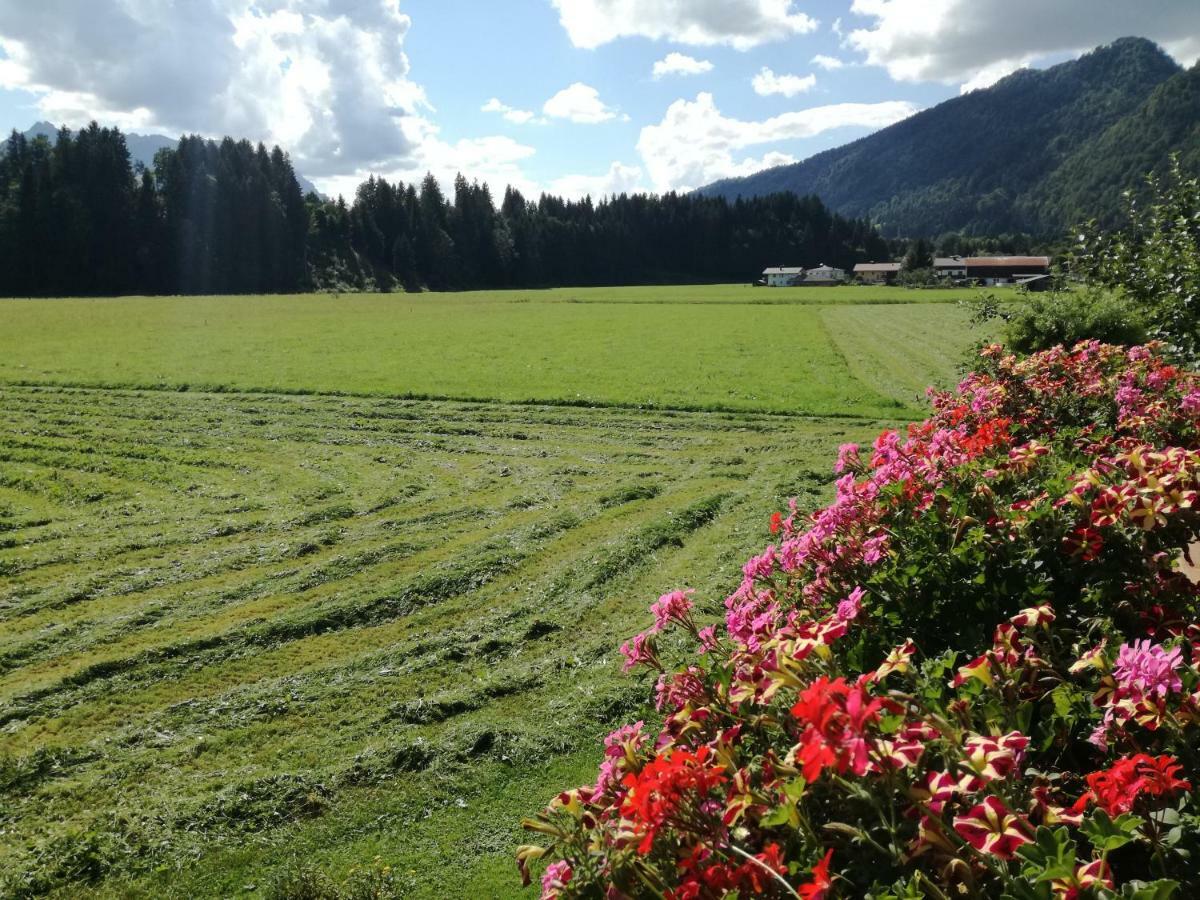 Gaestehaus Gruenbacher Kössen Zewnętrze zdjęcie