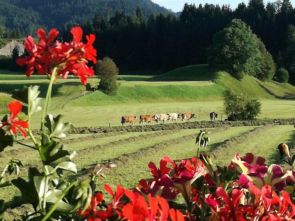 Gaestehaus Gruenbacher Kössen Zewnętrze zdjęcie